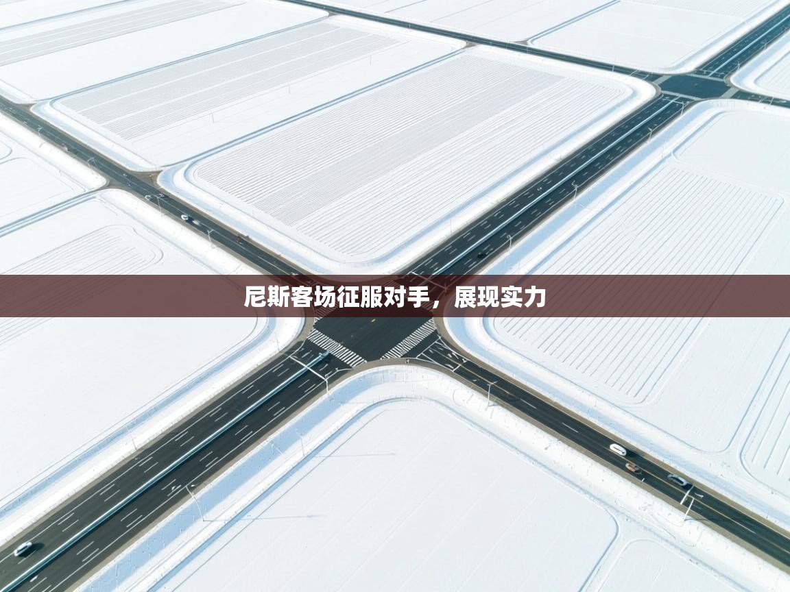 尼斯客场征服对手，展现实力  第1张