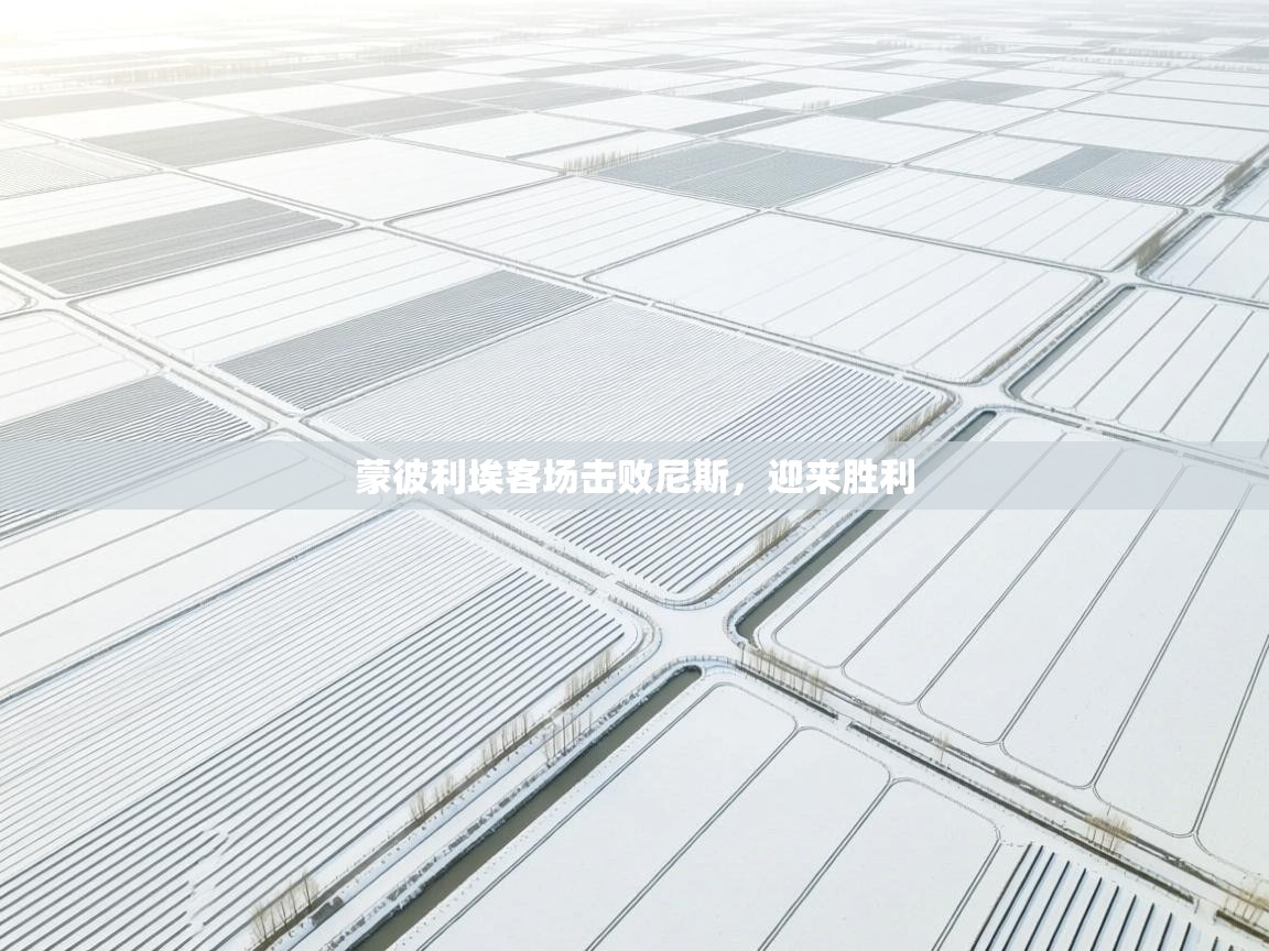 蒙彼利埃客场击败尼斯，迎来胜利