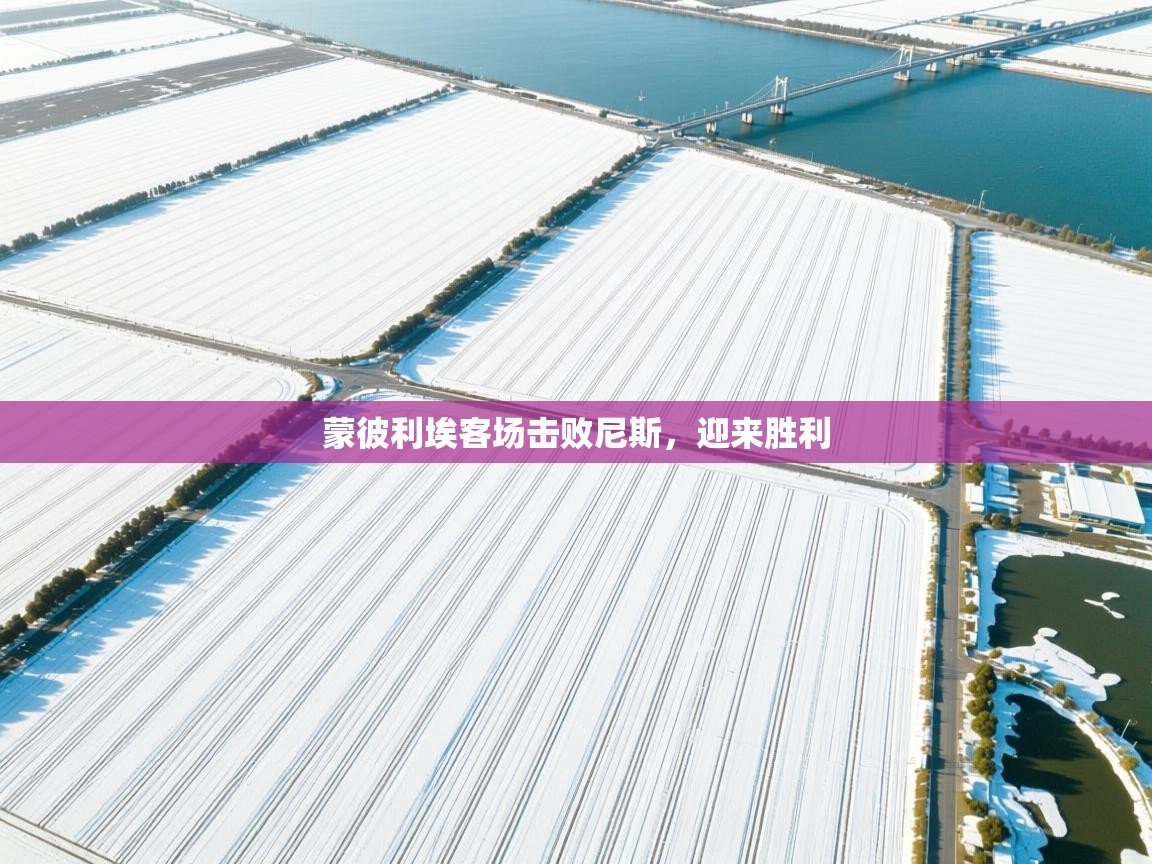 蒙彼利埃客场击败尼斯,迎来胜利 第2张