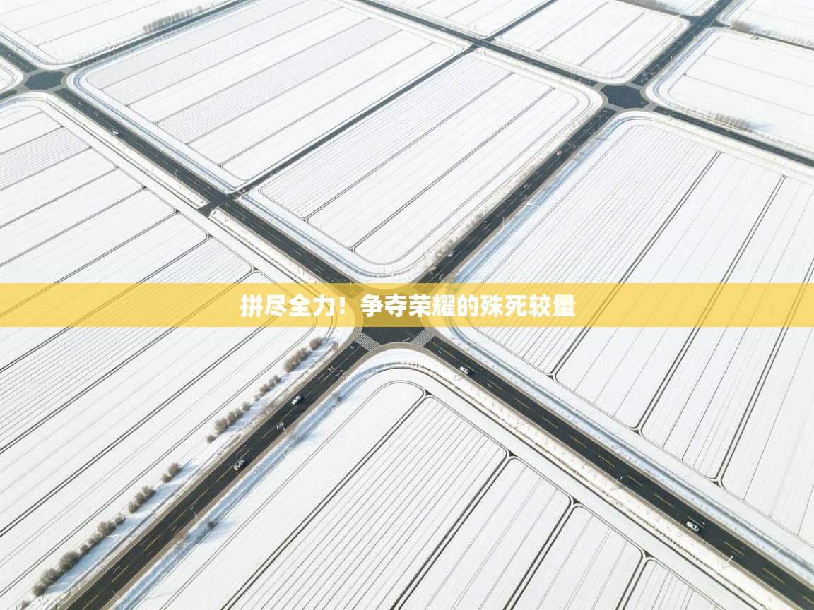 拼尽全力！争夺荣耀的殊死较量  第2张