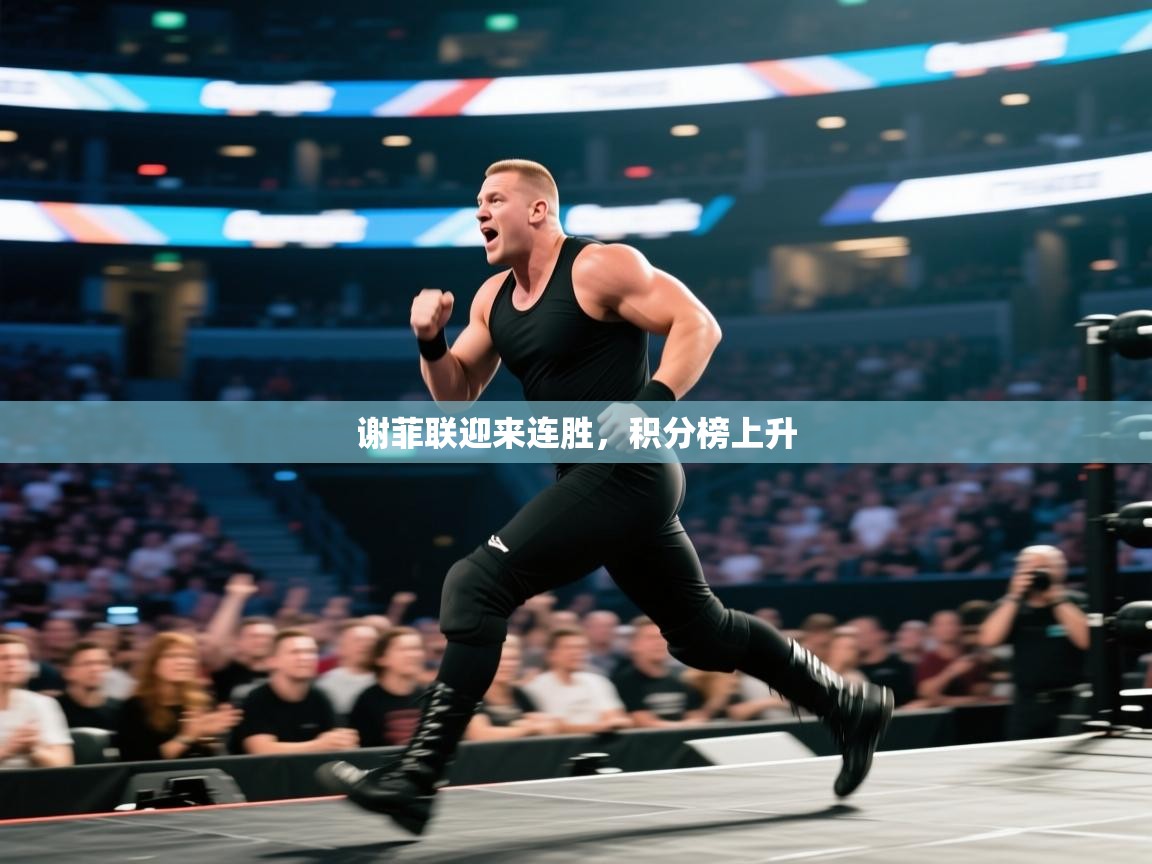 谢菲联迎来连胜，积分榜上升
